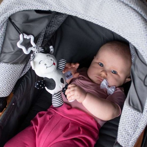 Βρεφικό Παιχνίδι Αγελαδίτσα 5907644004713